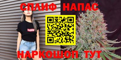 дживик Дубна