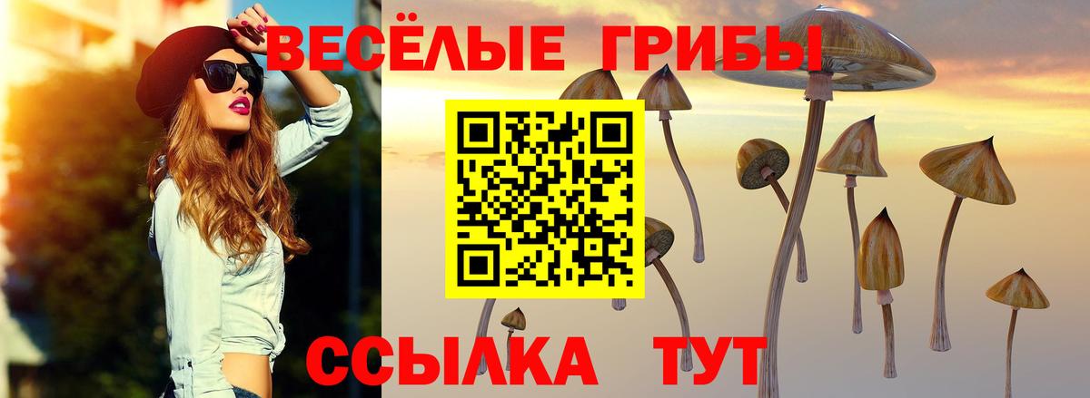 Галлюциногенные грибы Psilocybine cubensis Лыткарино